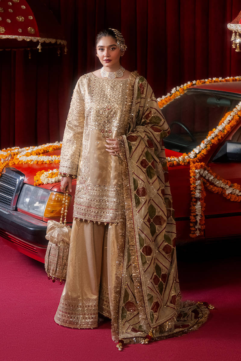 Mohsin Naveed Ranjha - Zarlish '25 - Khushi