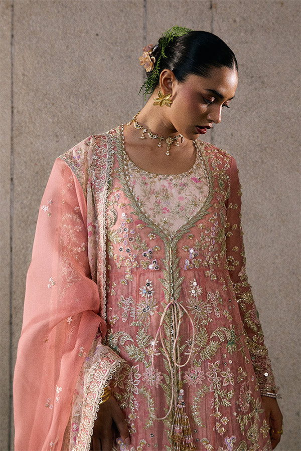 Novara Rose Coral Embroidered Organza Jacket Pishwas with Sharara & Dupatta