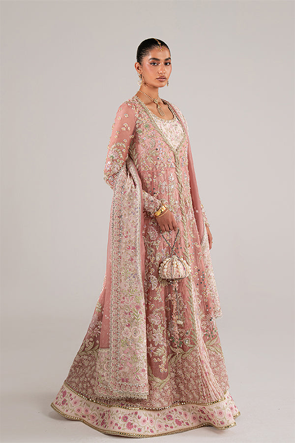 Novara Rose Coral Embroidered Organza Jacket Pishwas with Sharara & Dupatta