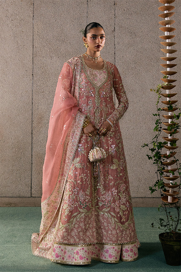 Novara Rose Coral Embroidered Organza Jacket Pishwas with Sharara & Dupatta